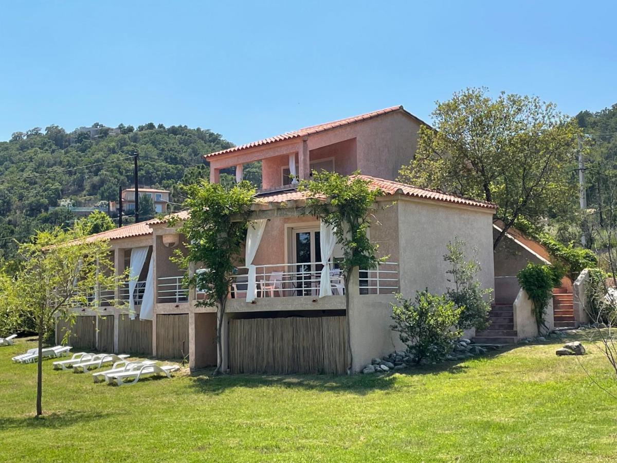 Domaine De Pianiccia * Favone